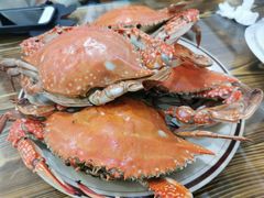 -海帮主·蒸汽海鲜青岛菜(栈桥火车站店)