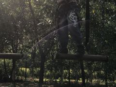 -永定河休闲森林公园