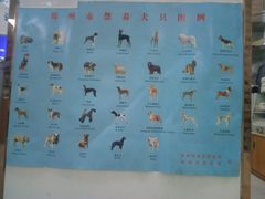 -pd派德宠物中心医院24H急重症·眼科中心·血液透析中心(嵩山北路店)