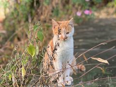 -田德能咖啡博物馆