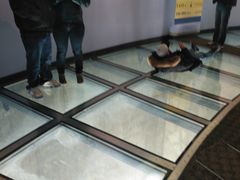 -加拿大国家电视塔