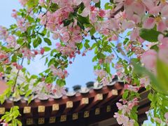 -海棠花溪(元大都城垣遗址公园)