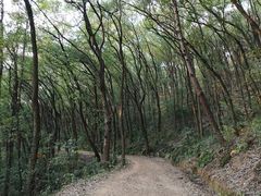 -喻家山