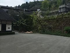 -燊海井