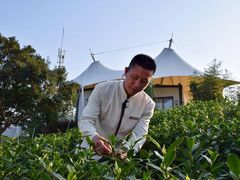 -帐篷客·溪龙茶谷度假酒店