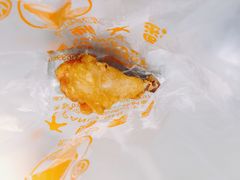 -潘大师炸鸡腿(坡子街店)