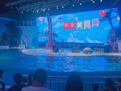 -三亚海昌梦幻海洋不夜城