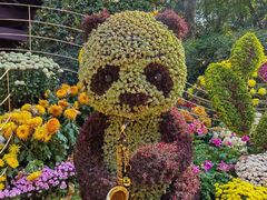 -杭州植物园
