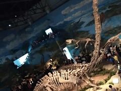 -自贡恐龙博物馆