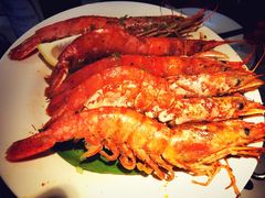 -星伦多 自助料理(圆融店)