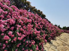 -上海辰山植物园