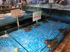 水产区-香山湖家家宴(中山陵店)