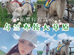 -乌兰布统草原