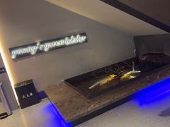 -杨氏青龙虾·羊蝎子(金盛路总店)