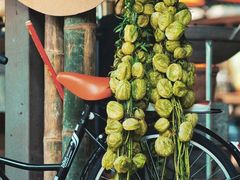 -西双版纳傣族园