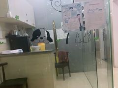 -瑞派天使宠物医院·神经外科·骨科·核磁(洛川中路店)