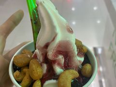 -Salud撒露欧洲冻酸奶(五道口购物中心店)