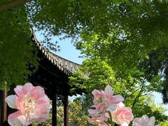 -陈记菜馆·非遗淮扬菜(东关街教场店)