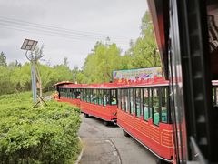 -鄂尔多斯野生动物园