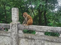 -黔灵山公园