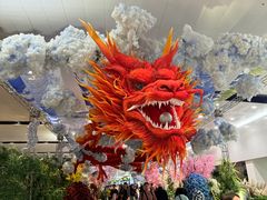 -河内内排国际机场