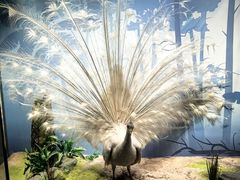 -陕西自然博物馆