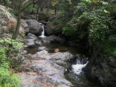 -云岫谷游猎自然风景区