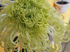 -重庆园博园