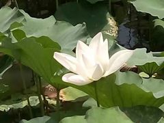 -韩湘水博园