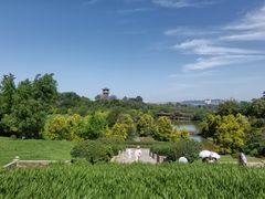 -张坝桂圆林公园