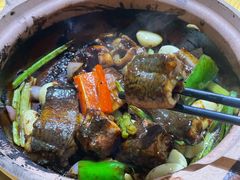 生啫金边花鳝-天宝食坊·啫啫煲大排档(西华路店)