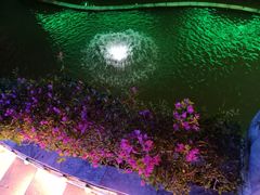 -亚龙湾亚泰商业街