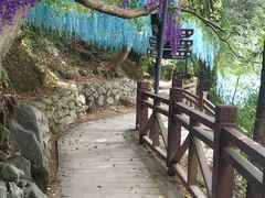 -洪崖丹井