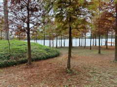 -上海海湾国家森林公园