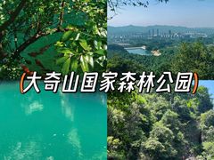 -大奇山国家森林公园