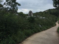 -长虫山生态公园风景林