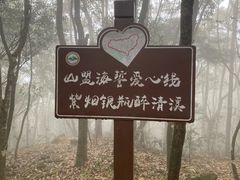 -清溪森林公园
