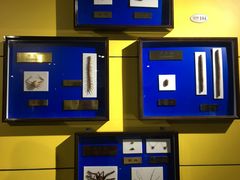 -上海昆虫博物馆