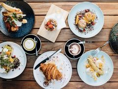 -Hash Specialty Coffee