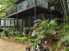 -黄埔油麻山森林公园