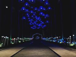 外景-杭州运河黄龙璀丽酒店-宴会厅