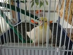 -上海华帆旗开比亚迪4S店(浦东北路店)