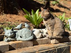 -鱼乐岛餐厅·户外花园主题餐厅