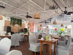 -芭厘·农庄老字号.电饭煲五指毛桃焗鸡