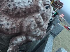 -大鹿岛