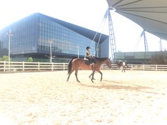 -东浩兰生上海世博展览馆