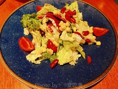 蔬菜沙拉-布拉格餐厅· 中欧捷克菜(全国首店)