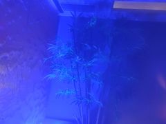 -唐宫足道·SPA·住宿24H会所(木渎店)