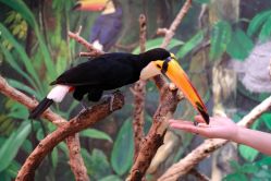 -Zoolung Zoolung动物主题公园(海信广场店)