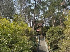 -梦姑塘文化公园